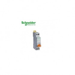 Schneider Interruttore Magnetotermico 4500A C10